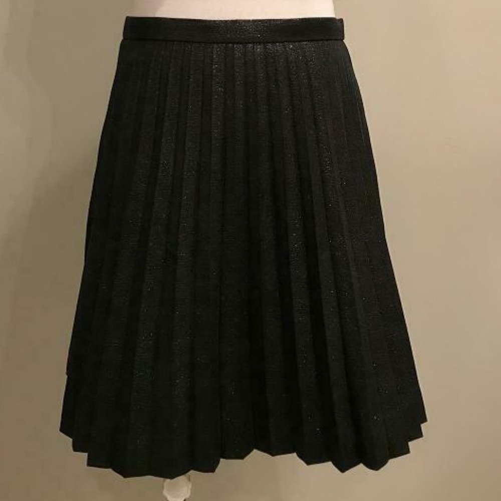 J.Crew $118 Lamé Pleated Mini Skirt H2854